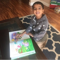 https://sherifink.com/wp-content/gallery/booksthe-little-dragon/The_Little_Dragon_by_Sheri_Fink_Fan.jpg?t=1579827125
