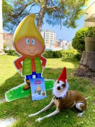 https://sherifink.com/wp-content/gallery/the-little-gnome-new/Zander_The_Little_Gnome_Book_by_Sheri_Fink.jpg?t=1718029568